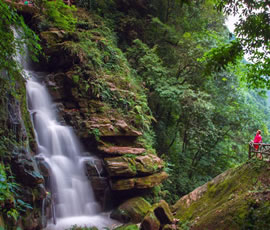 碧峰峽、上里古鎮(zhèn)二日游